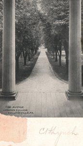 Vintage Postcard 1907 The Avenue Ursenus College Collegeville Pennsylvania Penn. 
