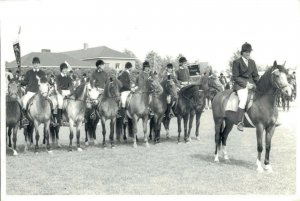 Horse Sports For a Magazine REAL PHOTO 03.02