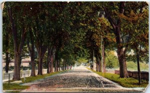 Postcard - Elm Avenue - Monroe, Michigan