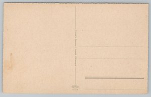 Dog~Black And Brown Long Haired Dog~Vintage Postcard 