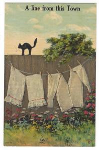 A line from this Town. Cat on fence. Washing on line. 1911