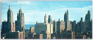 Chicago Skyline Panorama Postcard - Plastichrome - Hotel Sheraton, Tribune Tower