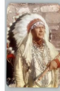 Indian Chieftain Native Americana Postcard