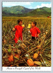 Field Ripe Pineapples Ready For Del Monte Hawaii Vintage Unposted Postcard