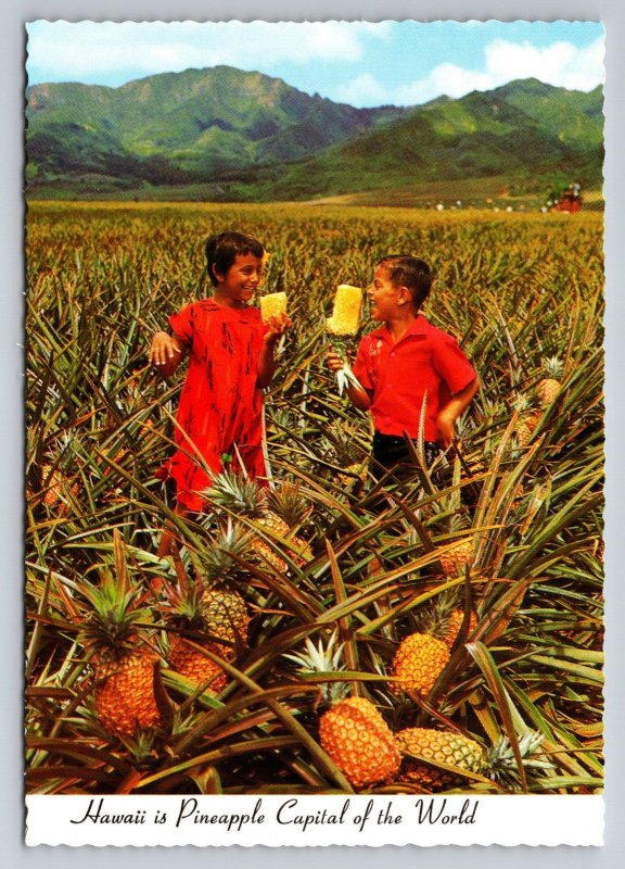 Field Ripe Pineapples Ready For Del Monte Hawaii Vintage Unposted Postcard