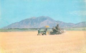 1952 Farm Agriculture Mt Nebo Nephi Utah Larsen postcard 9860