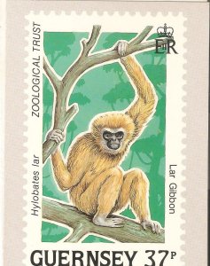 Animals. Lar Gibbon Stamp card issued by Guernesey Pozst Office  on nov 1989