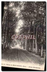 Old Postcard Park Chateau Beaumesnil Eure Avenue Montmorency