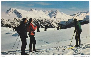 Whistler Mountain, Standing At The Upper Terminal Of The Chairlift, Garibaldi...