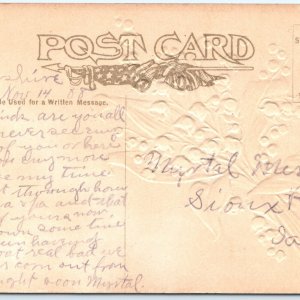 c1910s Greenville, IA Greetings Mica Glitter Embossed Artistic Postcard A115