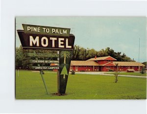 Postcard Pine to Palm Motel, Crookston, Minnesota