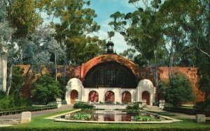 Vintage Postcard Botanical Gardens Lily Pond Balboa Park San Diego California CA