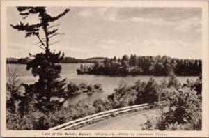 Kenora Ontario ON Lake Of The Woods Lakewood Studios Unused RPPC Postcard D48