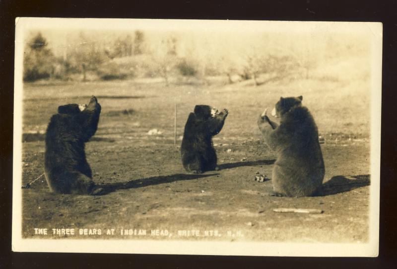 Lincoln, New Hampshire/NH Postcard, 3 Bears At Indian Head, White Mountains