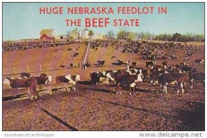 Nebraska North Platte The Huge Nebraska Feedlot In The Beef State