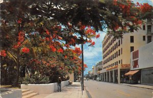 Beautiful Duval Street - Key West, Florida FL  