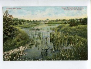 286961 GERMANY BERLIN Dahlem royal botanical garden Vintage postcard