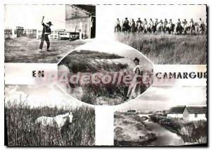 Postcard Modern Camargue The game Lasso Gardians