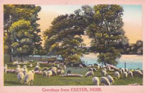 Nebraska Greetings From Exeter 1966