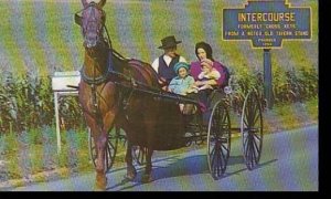 Pennsylvania Intercourse Amish Family With Their Horse & Buggy