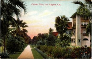 Vtg 1910s Chester Place Homes Palm Trees Los Angeles California CA Postcard