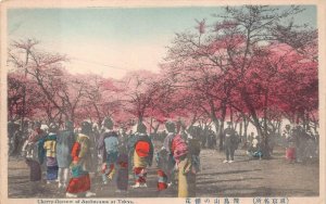 CHERRY BLOSSOMS OF ASUKAYAMA AT TOKYO JAPAN POSTCARD (c. 1920s)