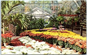 M-62760 Annual Fall Chrysanthemum Show Birmingham Botanical Gardens Birmingha...