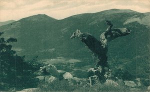 Spain Sierra De Guadarrama Vintage Postcard 07.35