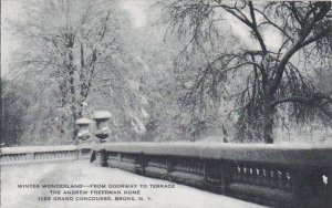 New York Bronx Winter Wonderland From Doorway To Terrace The Andrew Freedman ...