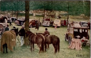 Scene at a Horse Show Old Cars Postcard Z5