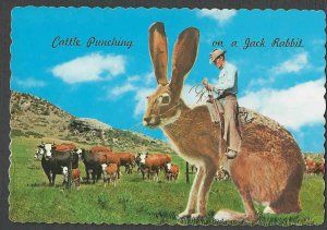 1962 PPC* MONSTER JACK RABBIT USED BY COWBOY TO ROUND UP CATTLE MINT