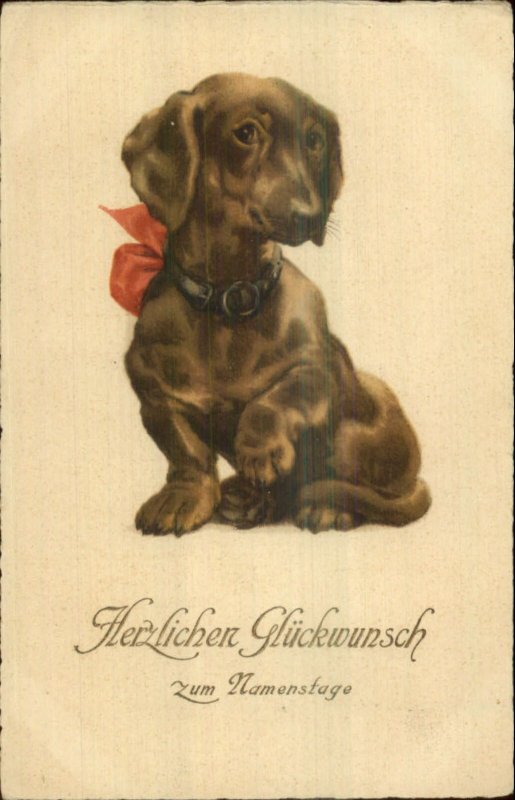 Dachshund Dog Collar & Bow - CONGRATULATIONS c1915 German Postcard