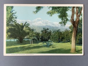 Snow And Oranges CA Landscape Litho Postcard A1142084307