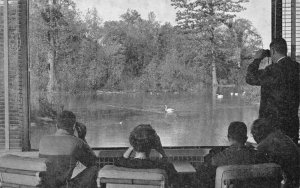 Ithaca New York Cornell University Bird Watching Vintage Postcard AA110692