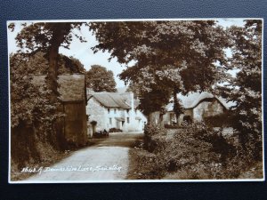 Devon SAUNTON A Devonshire Lane - Old RP Postcard by E.A.S.