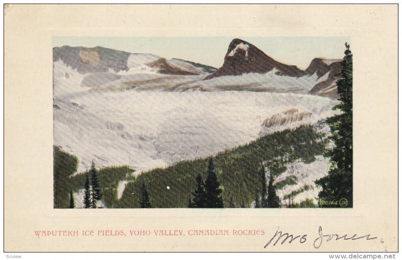 CANADIAN ROCKIES, 1900-1910's; Waputekh Ice Fields, Yoho Valley