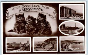 RPPC  ABERYSTWYTH, WALES Multi View Kittens UNIVERSITY, PROMENADE 1947 Postcard 