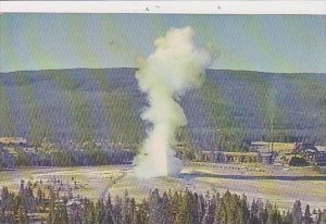 Wyoming Yellowstone National Park Old Faithful Geyser From Observation Point