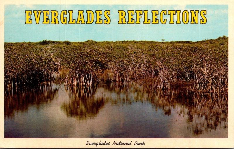 Florida Everglades National Park Everglades Reflections