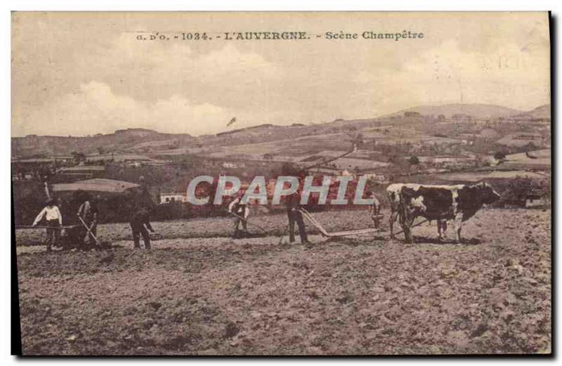 Old Postcard Folklore Auvergne hitch Scene champetre