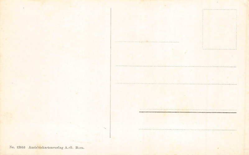 Switzerland Thun Thoune Chateau Castle vintage postcard