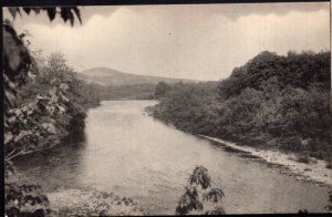 Pennsylvania WILLIAMSPORT Lycomng Creek - Divided Back