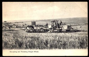 Harvesting and Threshing Oregon Wheat Horses Combine Workers pm1910 - DB