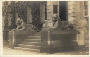 Princeton University New Jersey NJ Bronze Tigers Vintage Real Photo Postcard