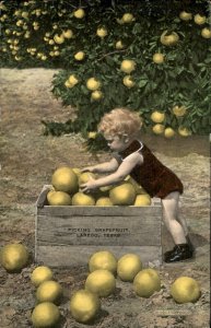 Laredo TX Texas Picking Grapefruit Cute Toddler c1930-50s Vintage Postcard