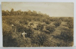 RPPC Al Rebok in Peach Orchard, Now Amos Pugh Farm Real Photo c1915 Postcard O18