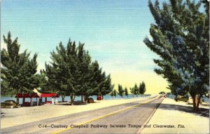 Florida Courtney Campbell Parkway Between Tamp and Clearwater Curteich