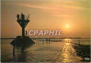 Postcard Modern Noirmoutier island Sunset on the Passage du Gois