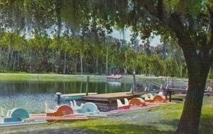 Florida Paddle Boats At Myakka State Park Near Sarasota