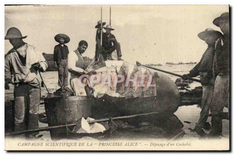 VINTAGE POSTCARD scientific Fishing Countryside of the Princ